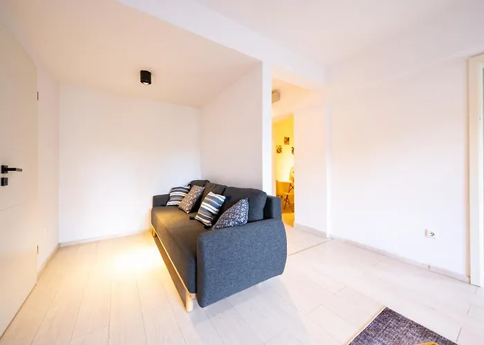 Apartment Ultracentral Dalles Centru *